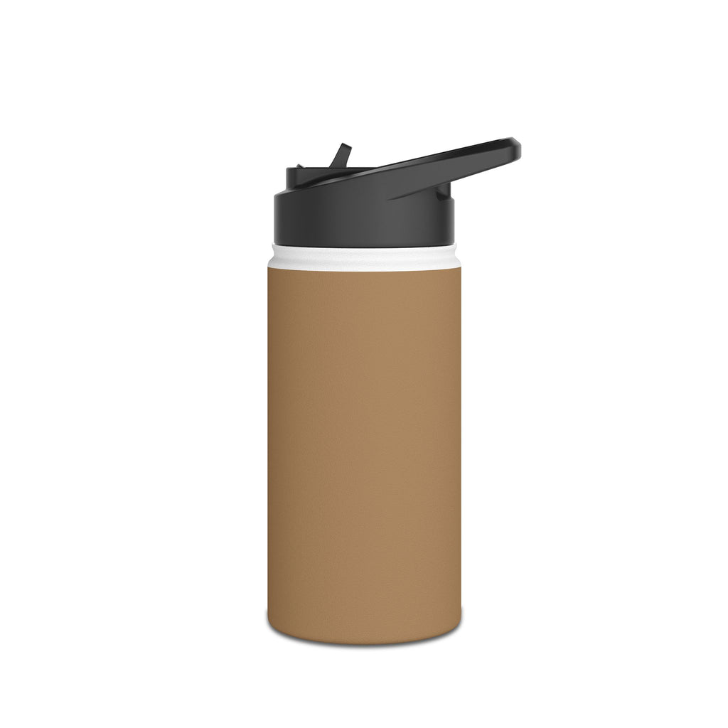 Sandstone matte stainless steel water bottle with black straw-style spout